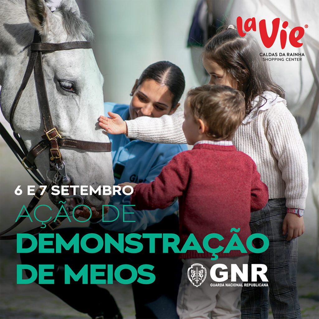 Ação de demonstração de meios GNR